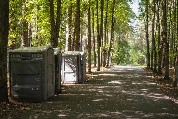 Best Affordable portable toilet rental  in Delshire, OH